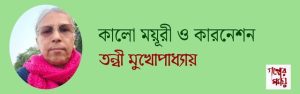 কালো ময়ূরী ও কারনেশন