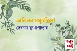 অভিনব মধুচন্দ্রিমা / দেবনাথ মুখোপাধ্যায় / গল্পের সময়