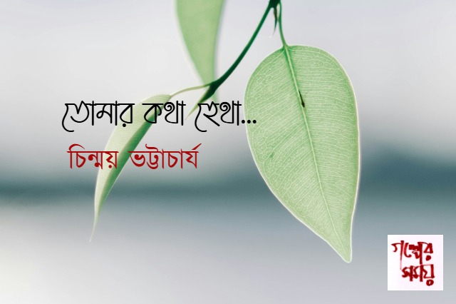 তোমার কথা হেথা... চিন্ময় ভট্টাচার্য